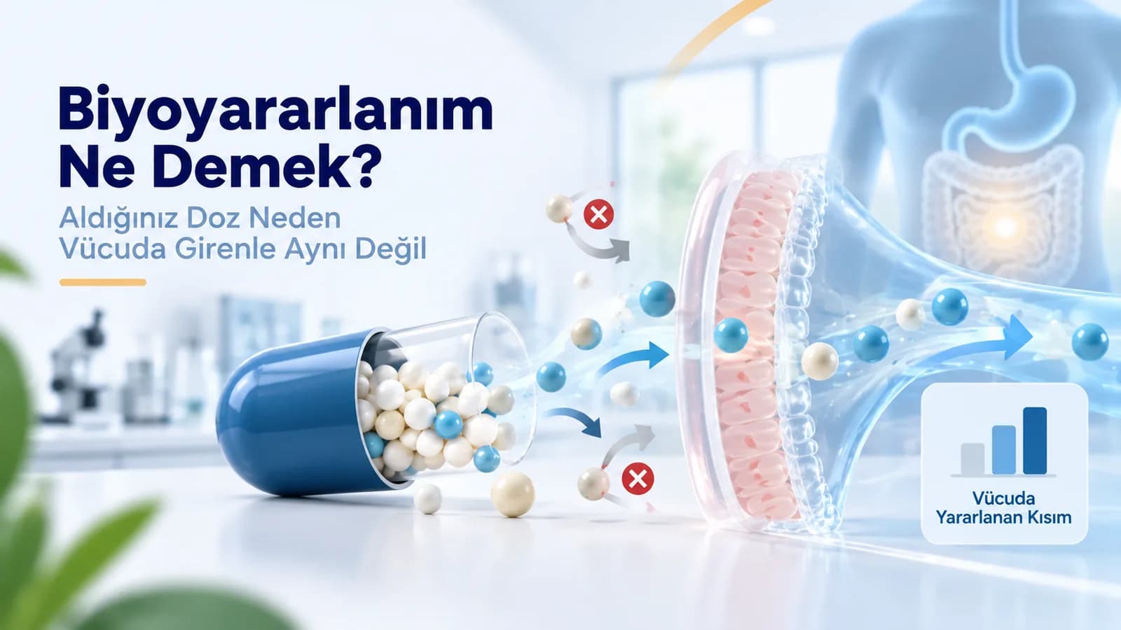 Biyoyararlanım Ne Demek? Aldığınız Doz Neden Vücuda Girenle Aynı Değil
